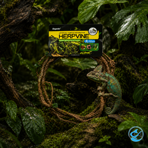 Giangarden Integrated Herpvine