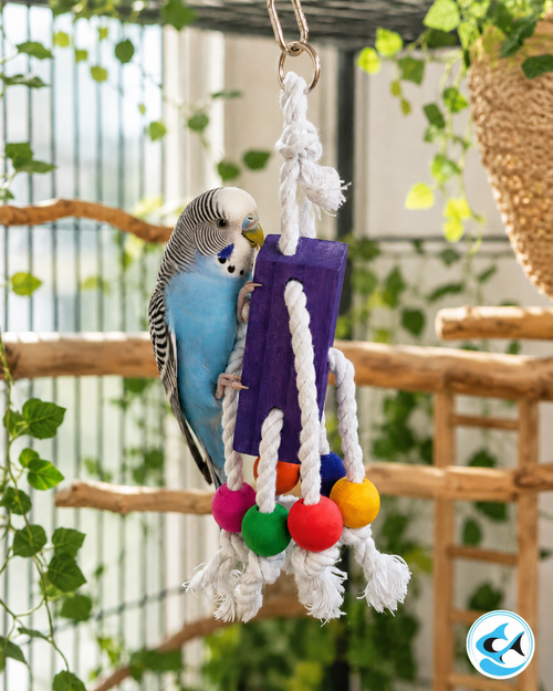 PW Colour Pop Rope Chew Bird Toy