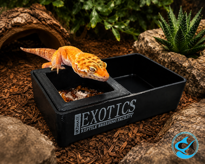 Ultimate Exotics Mealworm, Water Dish Combo