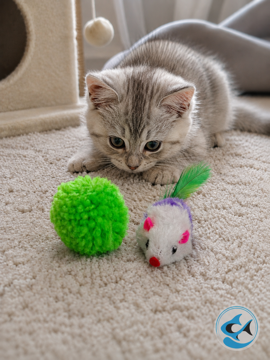 CP Small Cat Toy Green Ball/ Purple Mouse 2pc