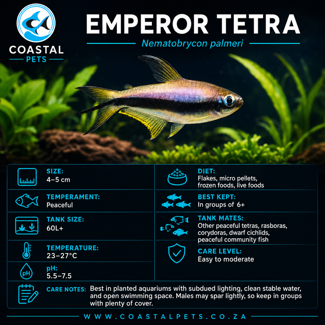 Tetra-Emperor