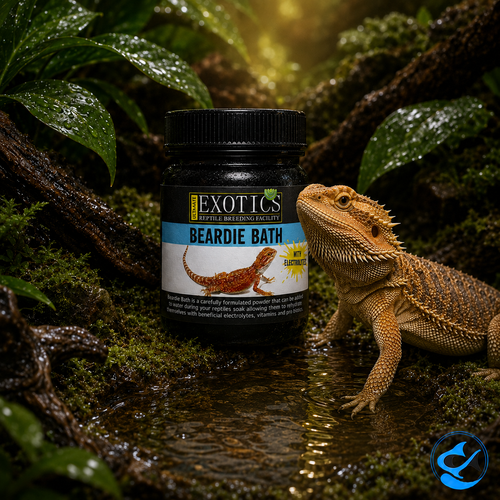 Ultimate Exotics Beardie Bath