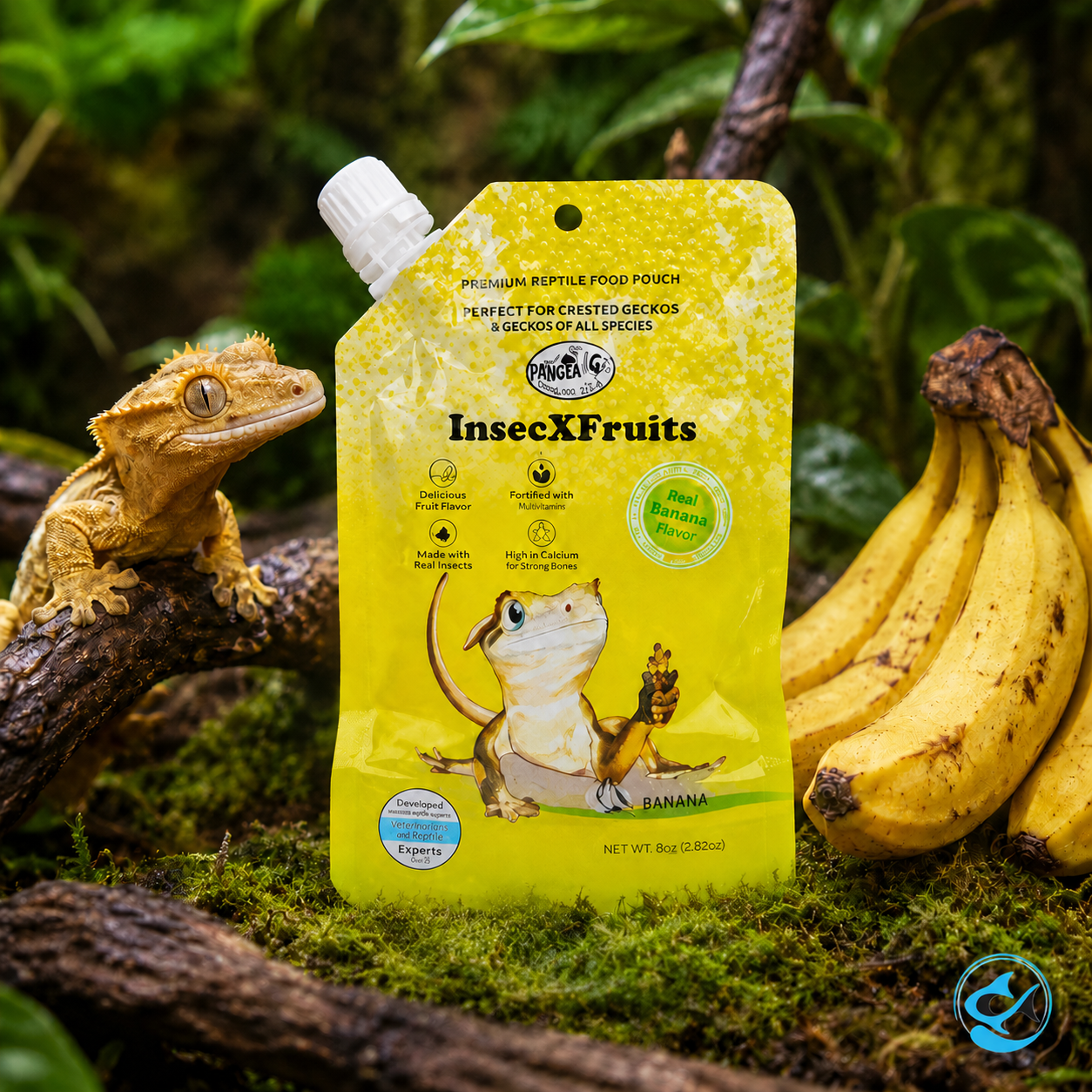ProBug InsecXFruits Banana