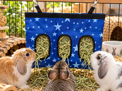 Hanging Hay Feeder - Blue Stars