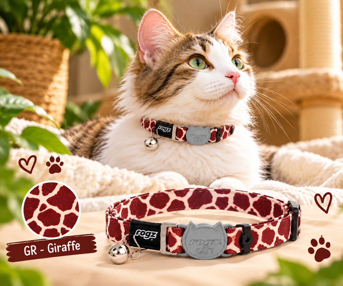 Rogz Fusion Safari Cat  Range Collection