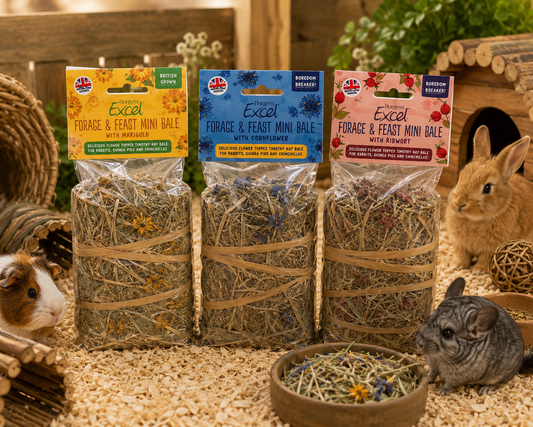 Burgess Excel Forage & Feast Mini Bale 100g