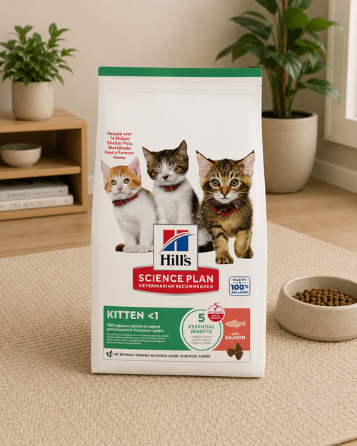 Hill's Science Plan Kitten Salmon