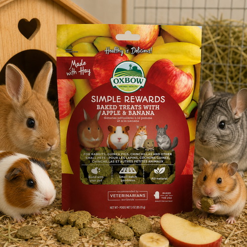 Oxbow Simple Rewards Apple & Banana Treats - 85g