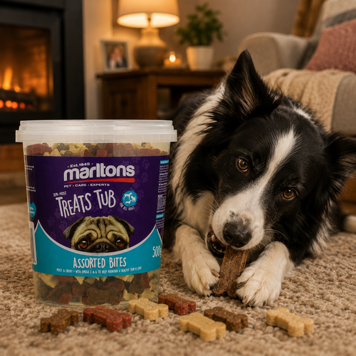 Marltons Treats Tub - Assorted Bites