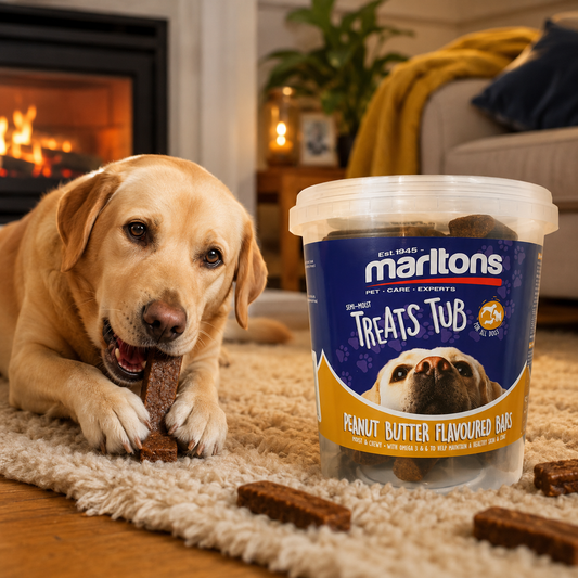 Marltons Treats Tub -Peanut Bars