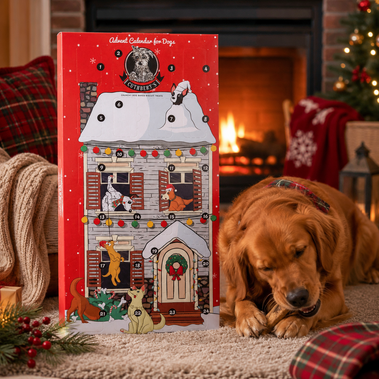 Cuthbert's Advent Calendar 2025