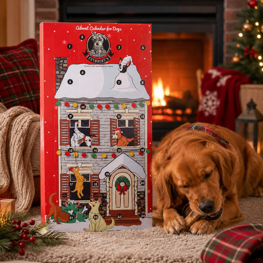 Cuthbert's Advent Calendar 2025