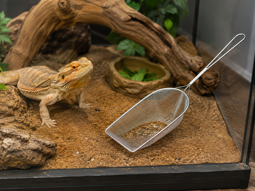 Nomoy Pet Sand Sifter - NFF45