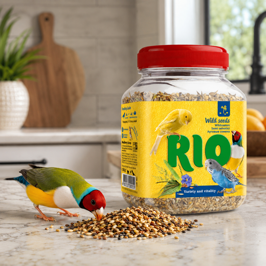 Rio Wild Seeds Natural Treat 240g