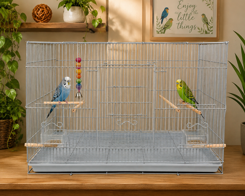 Daro Salvia Flight Cage