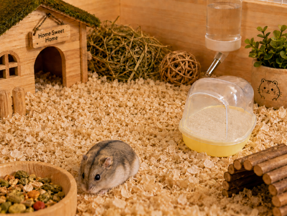 Carno Hamster Bathroom
