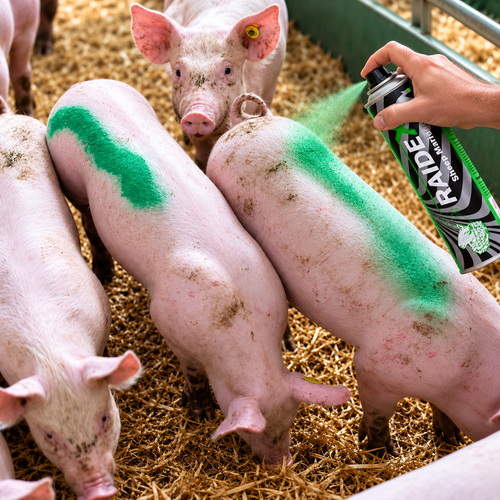 Livestock Marking Spray - Green 500ml