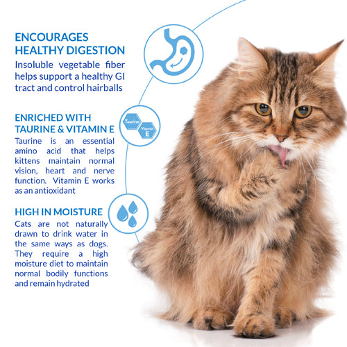 Churu Cat Puree Hairball Control - Chicken