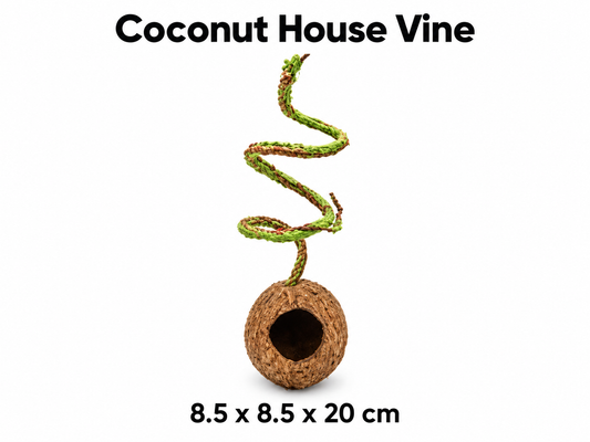 Coconut House Vine