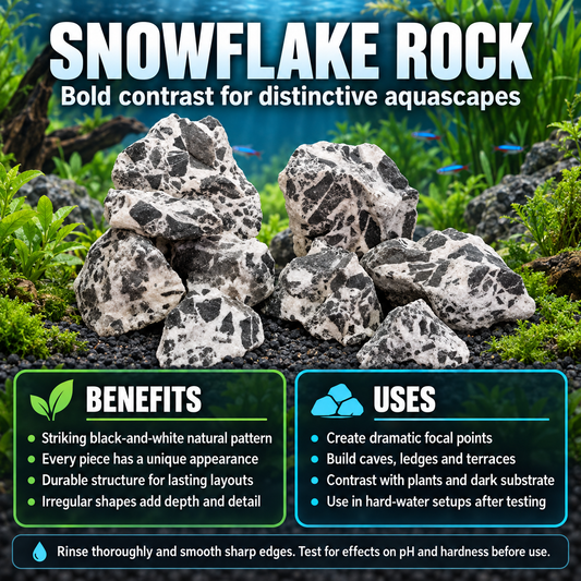 Snowflake Stone