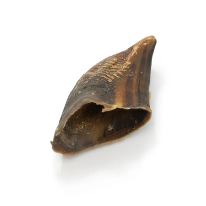 PB Hooves Singles