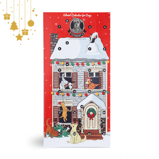 Cuthbert's Advent Calendar 2025