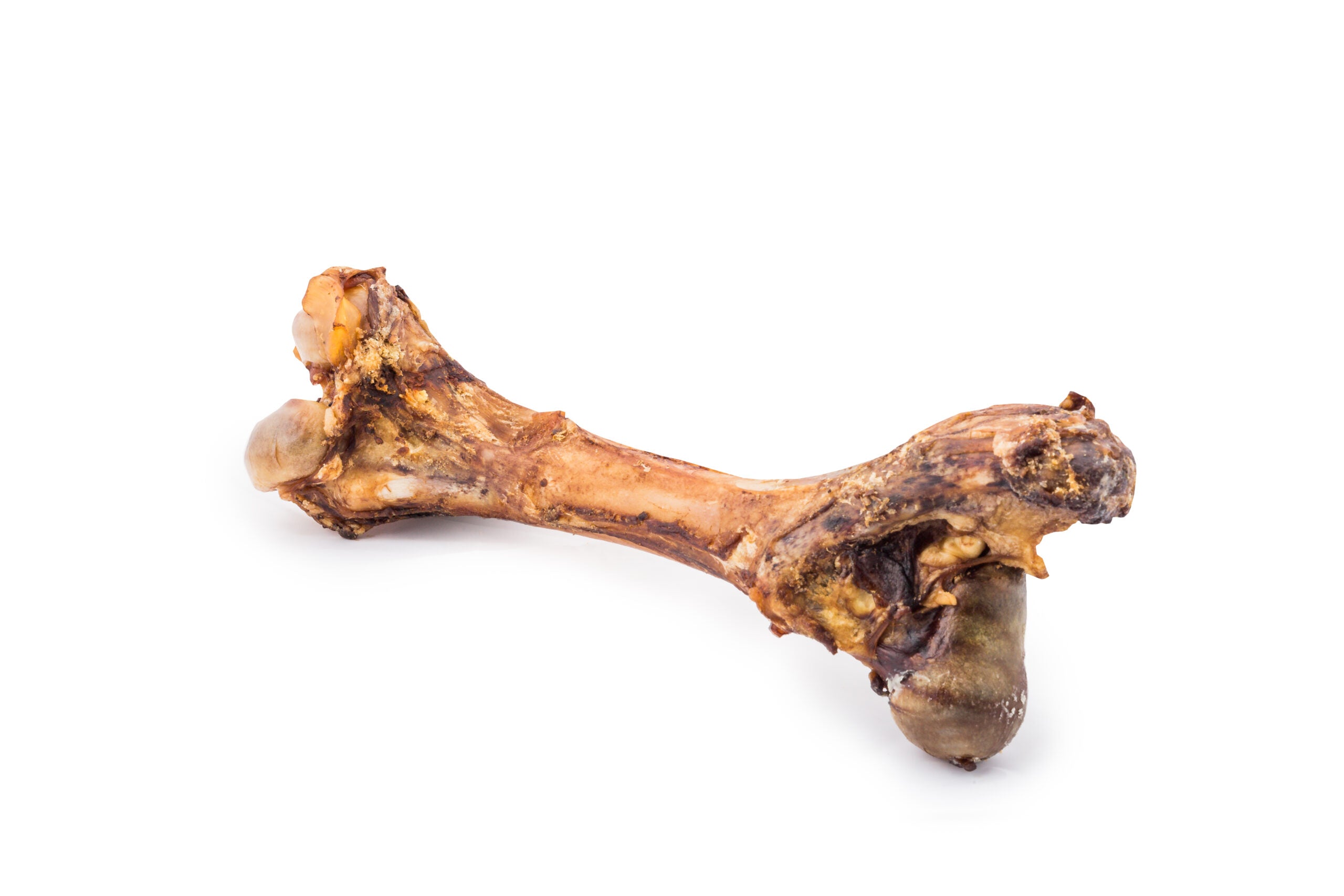 Royal Karoo - Smoked Femur Bone ( Medium )