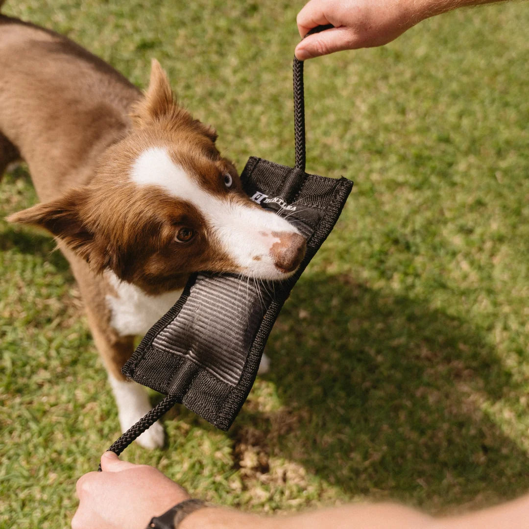 Huntlea Duplex Tug Toy With Rope