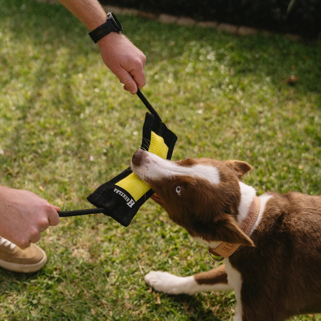 Huntlea Duplex Tug Toy With Rope