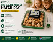 Emerald 69 Egg Automatic Incubator
