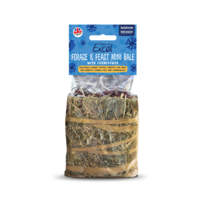 Burgess Excel Forage & Feast Mini Bale 100g