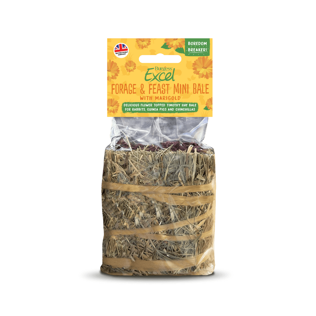Burgess Excel Forage & Feast Mini Bale 100g