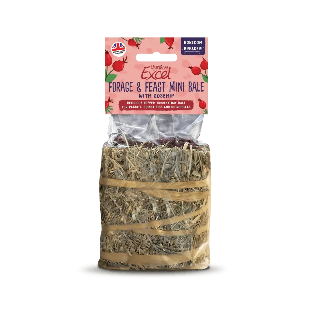 Burgess Excel Forage & Feast Mini Bale 100g