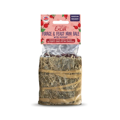 Burgess Excel Forage & Feast Mini Bale 100g