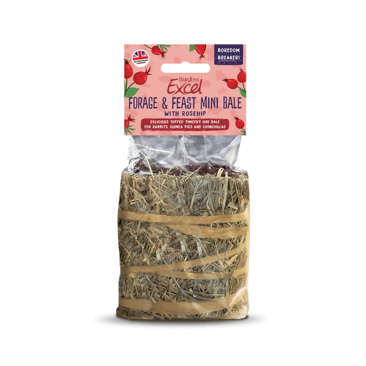Burgess Excel Forage & Feast Mini Bale 100g