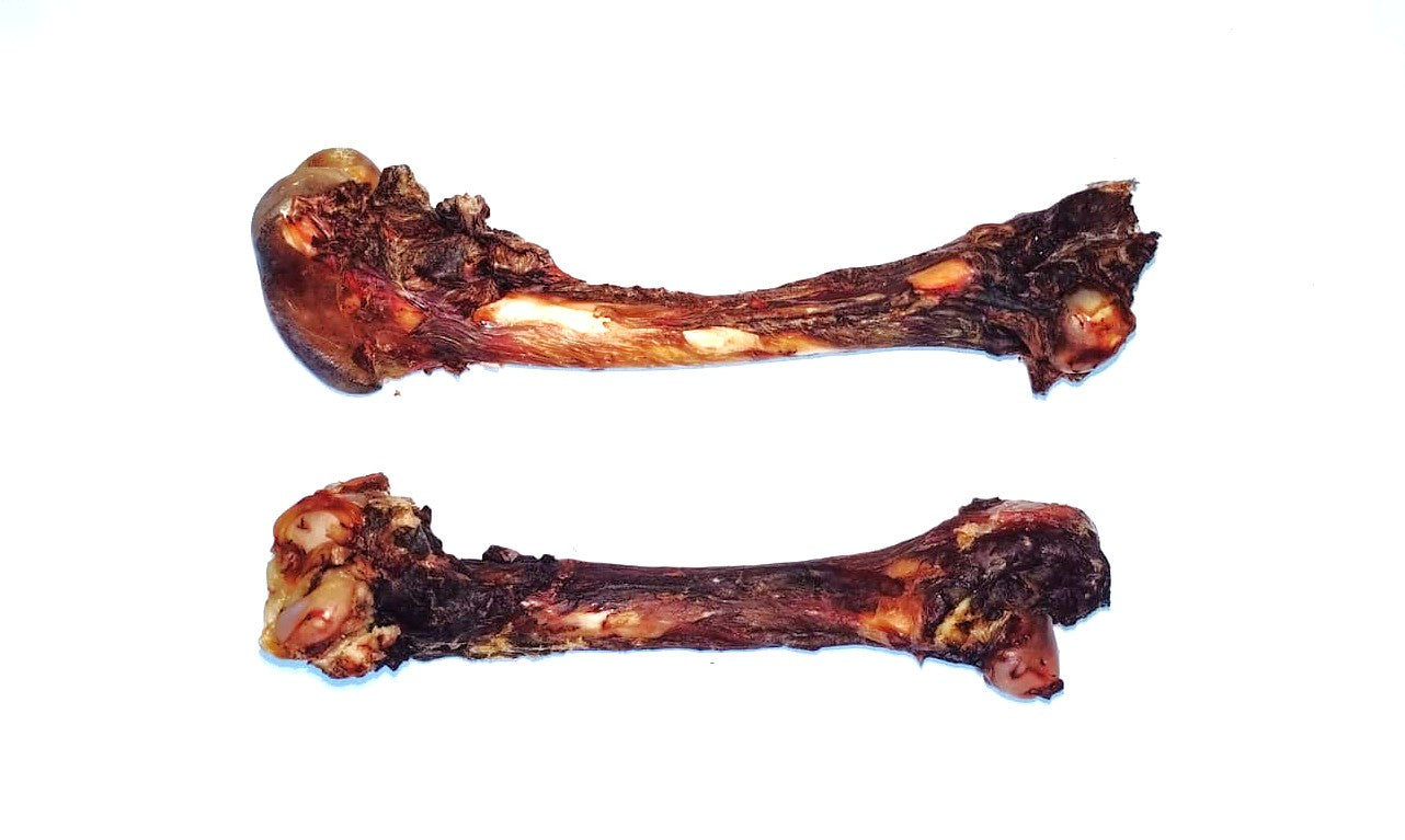 Craving Nature Femur Bone Small Singles