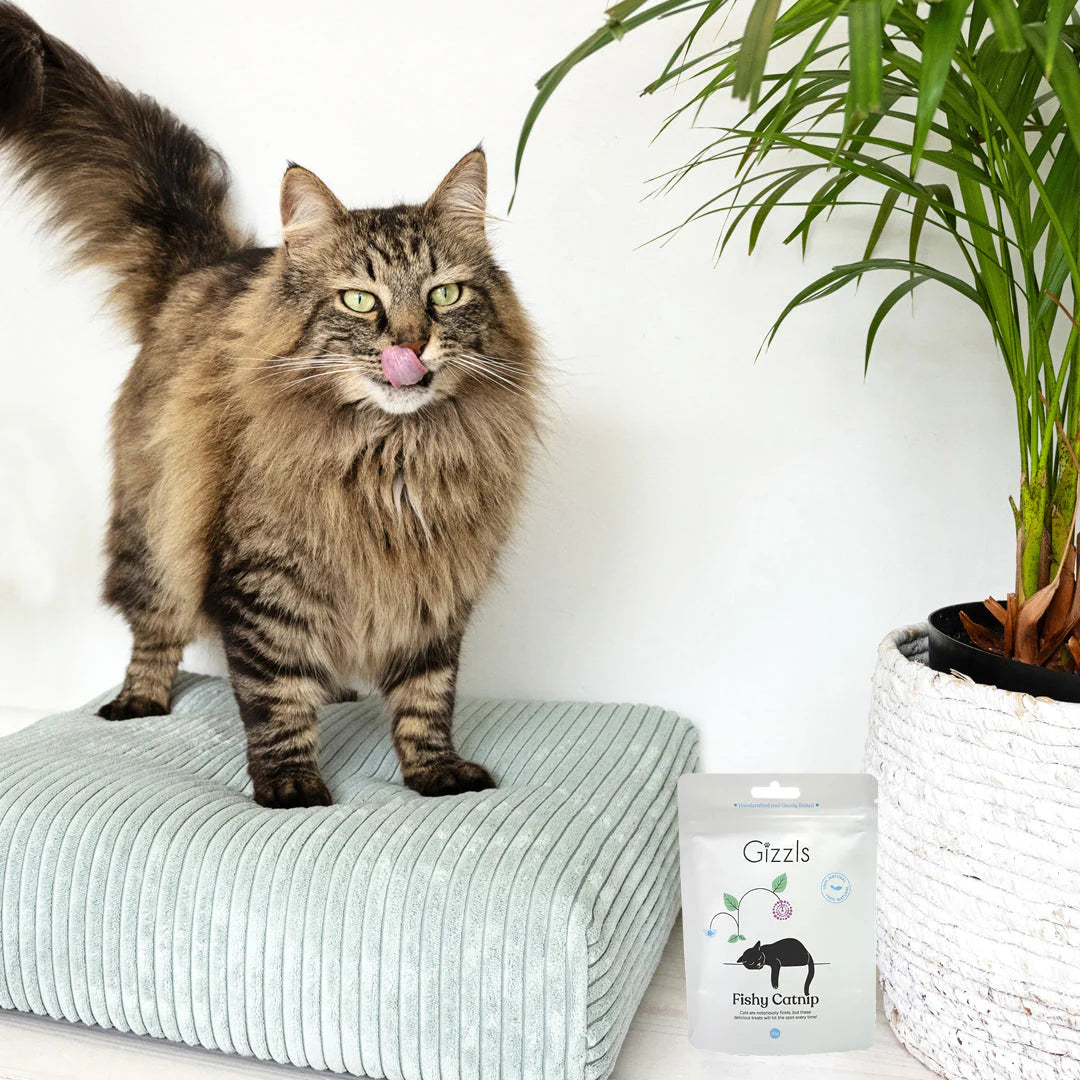 Gizzls Fishy Catnip Cat Treats 50g
