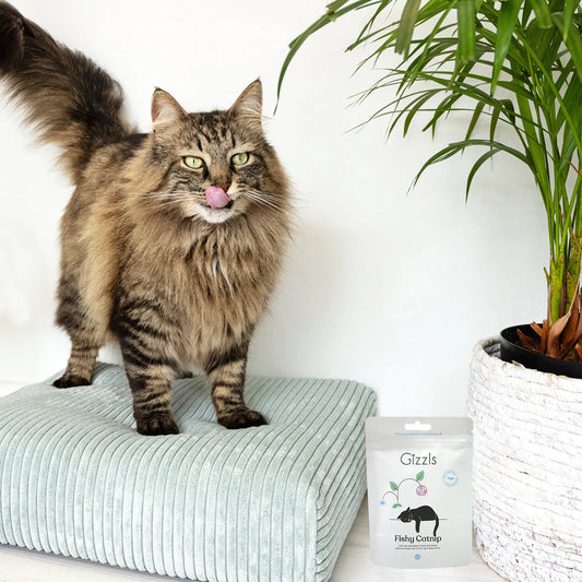 Gizzls Fishy Catnip Cat Treats 50g