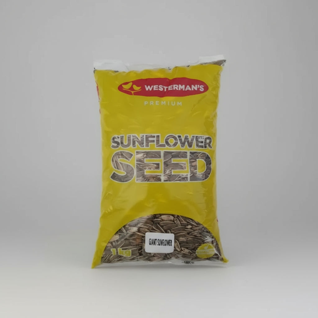 Westerman's Giant Sunflower Seed