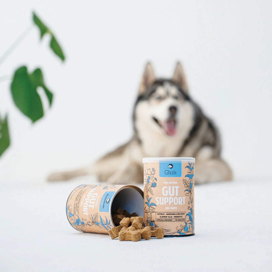 Gizzls Gut Support Dog Biscuits 180g