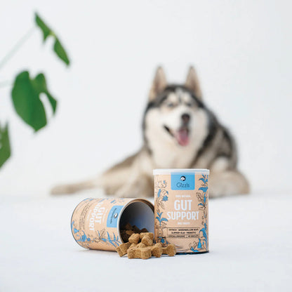 Gizzls Gut Support Dog Biscuits 180g
