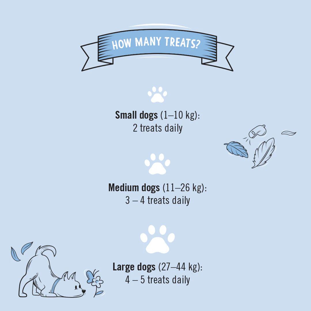 Gizzls Gut Support Dog Biscuits 180g