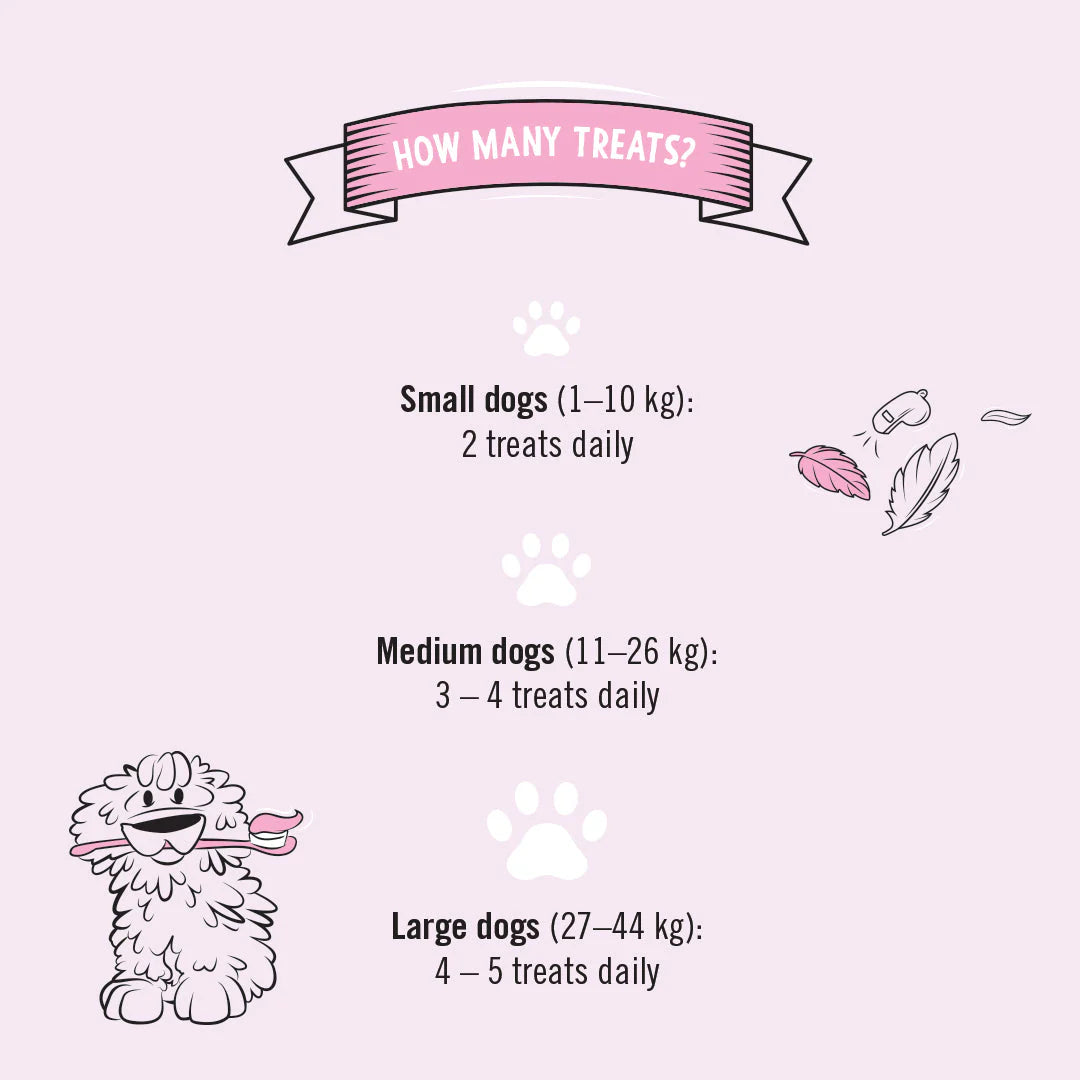 Gizzls Dental Dazzle Dog Biscuits 180g