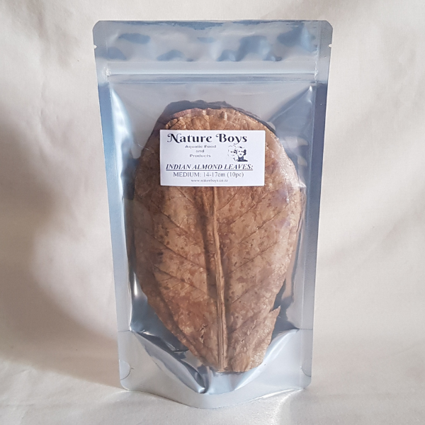 Nature Boys - Indian Almond leaves 14-17cm (10pc)
