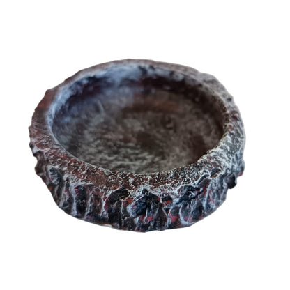 Reptile Deep Bowl