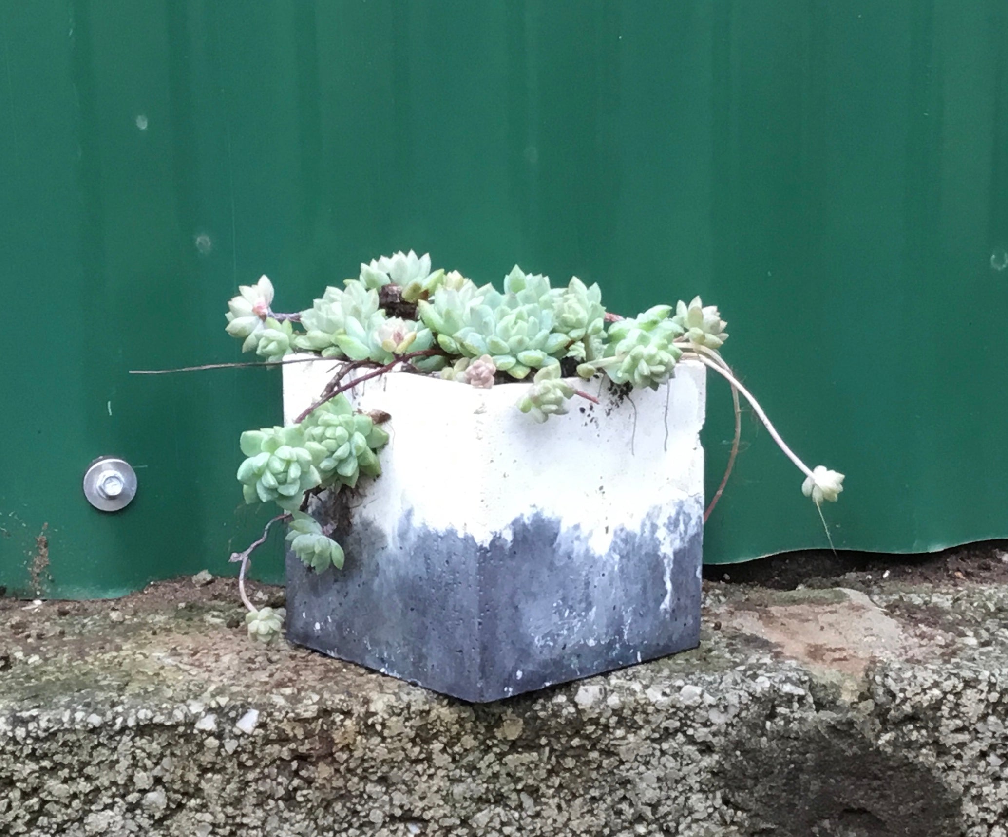 Concrete Pots - Large square L1