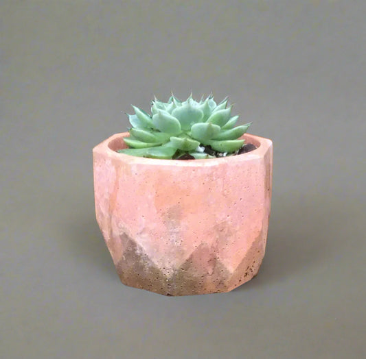 Concrete pots / planters - M9