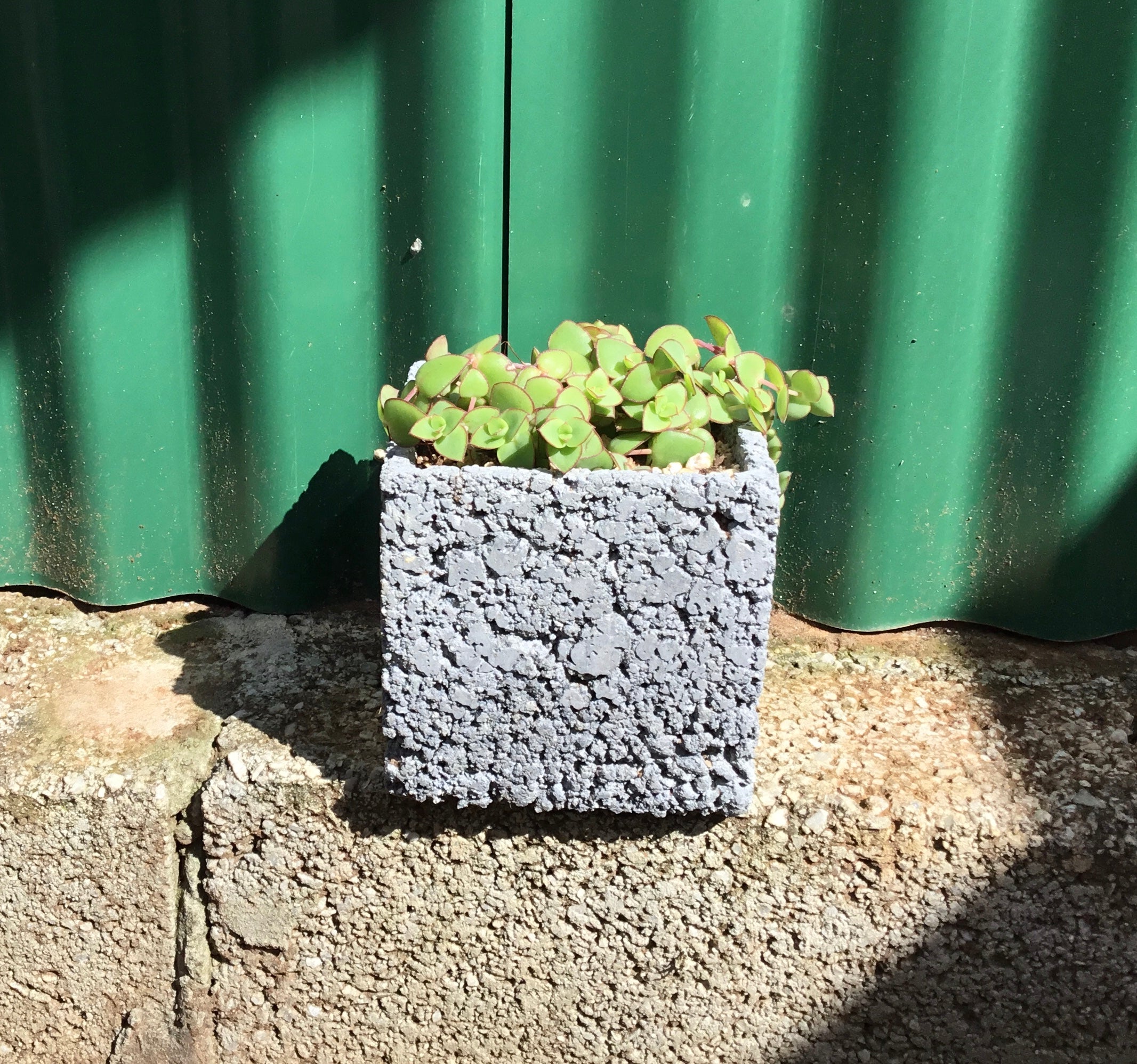 Concrete pots - Large square L33