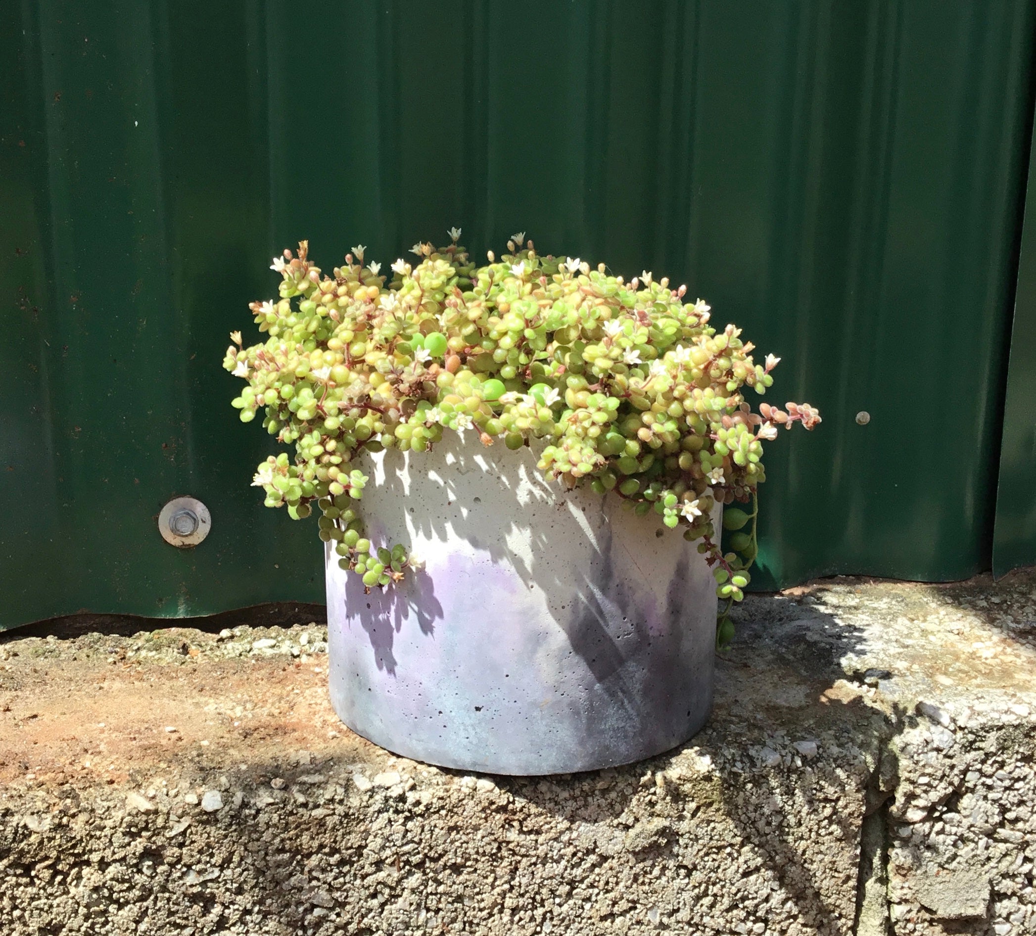 Concrete pots - Large round L12