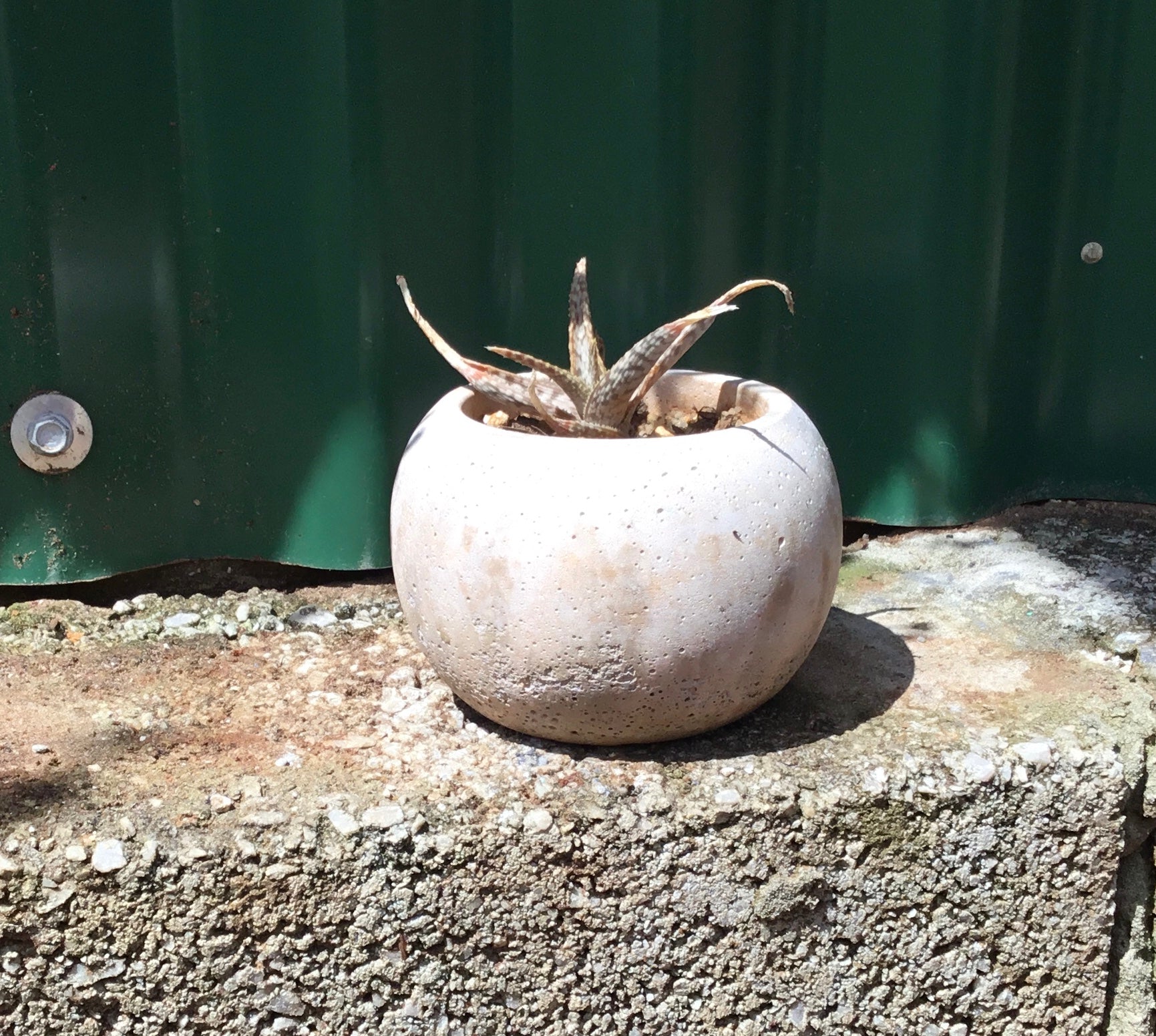 Concrete pots - Medium round M22